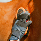CAMEO Body Brush in Orange in use grooming a chestnut horse coat to sweep away fine dust and enhance natural shine.