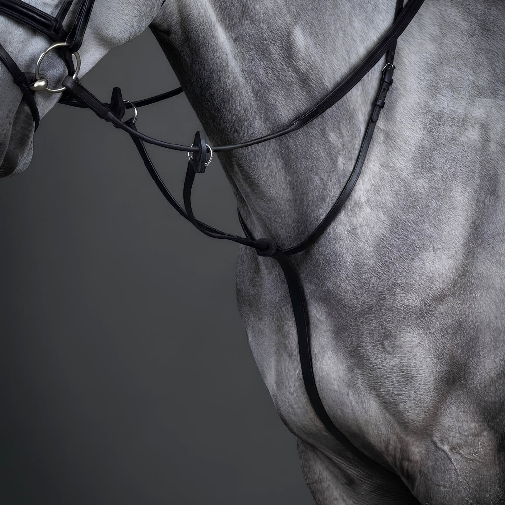 Close-up of a horse wearing black leather bridle martingale and reins and bit hardware against a dark gray studio background.