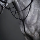 Close-up of a horse wearing black leather bridle martingale and reins and bit hardware against a dark gray studio background.