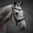 A close-up of a gray horse wearing a dark brown leather bridle with silver studs and a metal ring, set against a dark gray studio background.