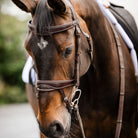 A close-up of a brown horse wearing a dark brown leather bridle and reins, with a blurred outdoor background.