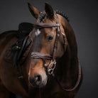 A close-up studio portrait of a brown horse wearing a dark brown leather bridle and saddle against a dark gray background.