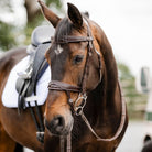 A close-up of a brown horse wearing a dark brown leather bridle with silver metal rings, standing outdoors with a black saddle and white saddle pad visible.