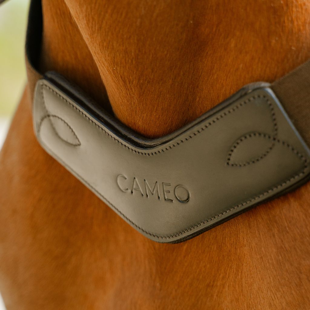 A close-up of a dark gray leather horse bridle cheekpiece with the brand name CAMEO embossed, shown on the neck of a brown horse.