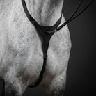 front image of shoulders of a grey horse wearing a CAMEO black leather breastplate. dark grey background