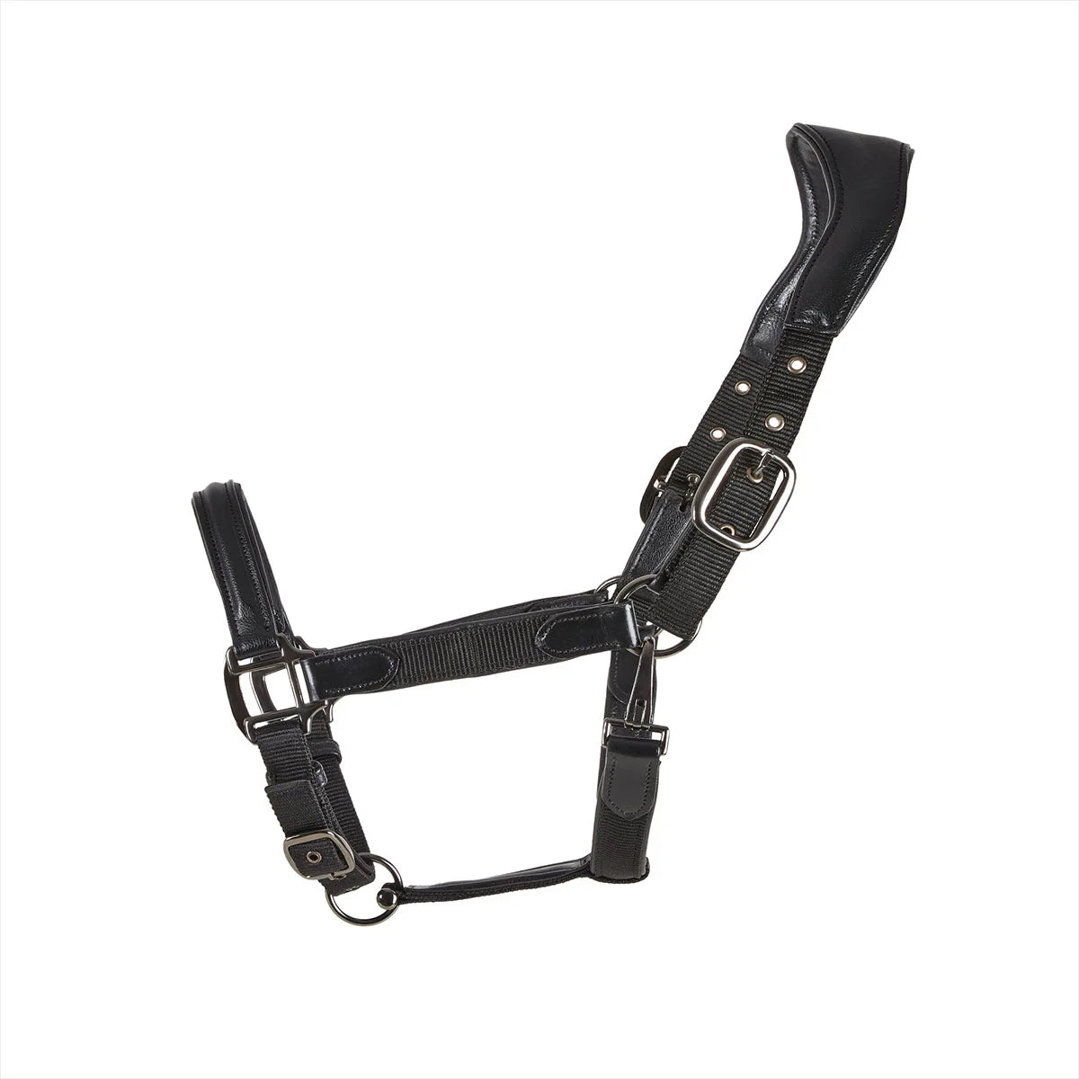 CAMEO ComfortPro Headcollar in Black with wipe-clean synthetic leather padding and scratch-resistant hardware for yard use.