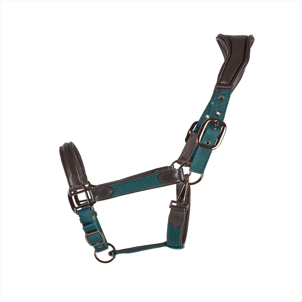 CAMEO ComfortPro Headcollar in Evergreen featuring an anatomical poll-relief crown and padded noseband for horse travel comfort.