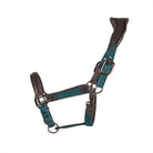 CAMEO ComfortPro Headcollar in Evergreen featuring an anatomical poll-relief crown and padded noseband for horse travel comfort.