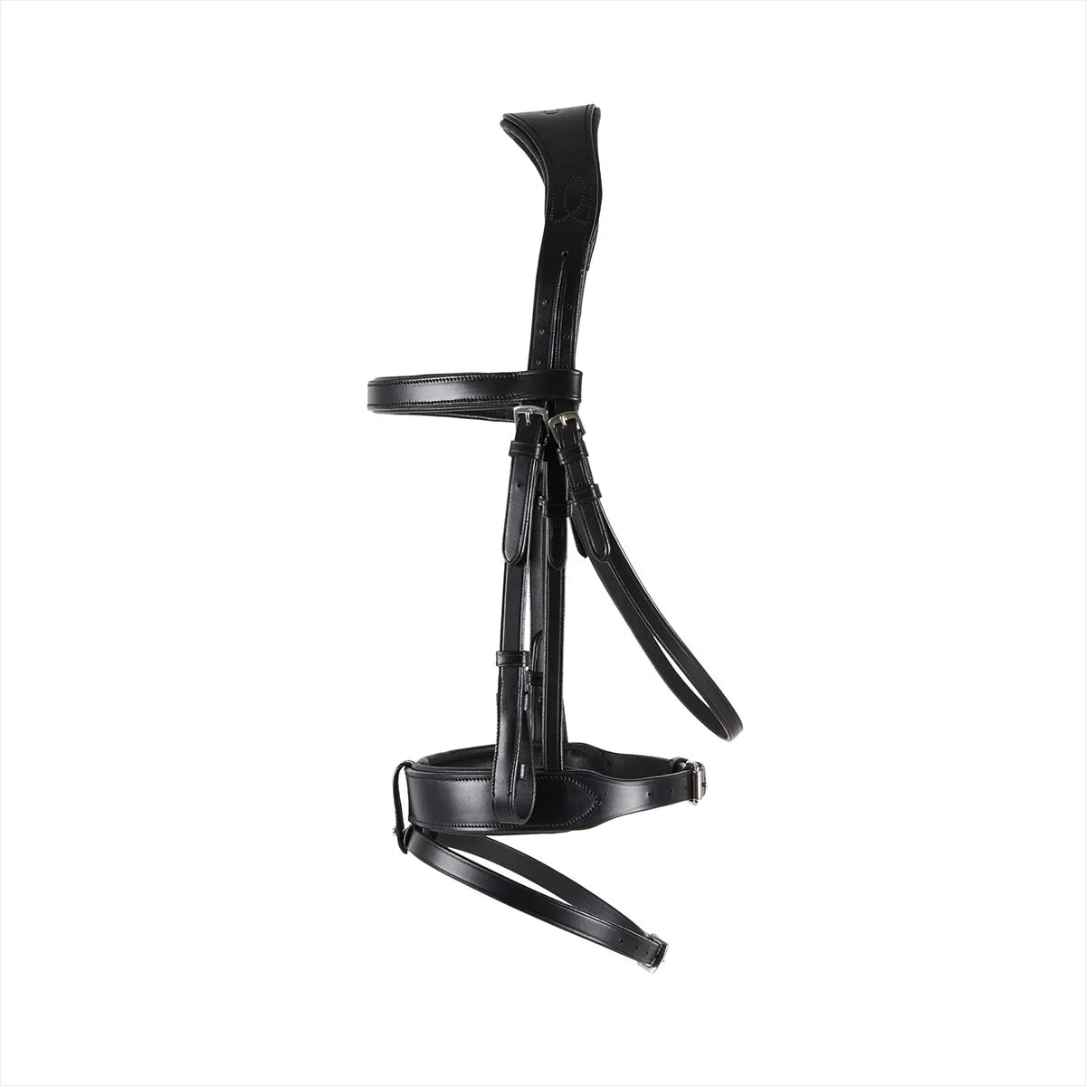 CAMEO ComfortPro Show Bridle in Black featuring ergonomic poll pressure relief and fine artisan stitching with matching reins.