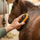 A close-up of a person grooming a brown horse in a stable, using an orange and black horse brush on the horse's neck. The brand name 'SAMPO' is visible on the brush.