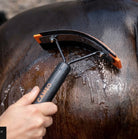 A close-up of a horse being washed with water using a black and orange horse grooming brush with a black handle. A human hand is holding the handle, which has the brand name 'CAMEO' printed on it.