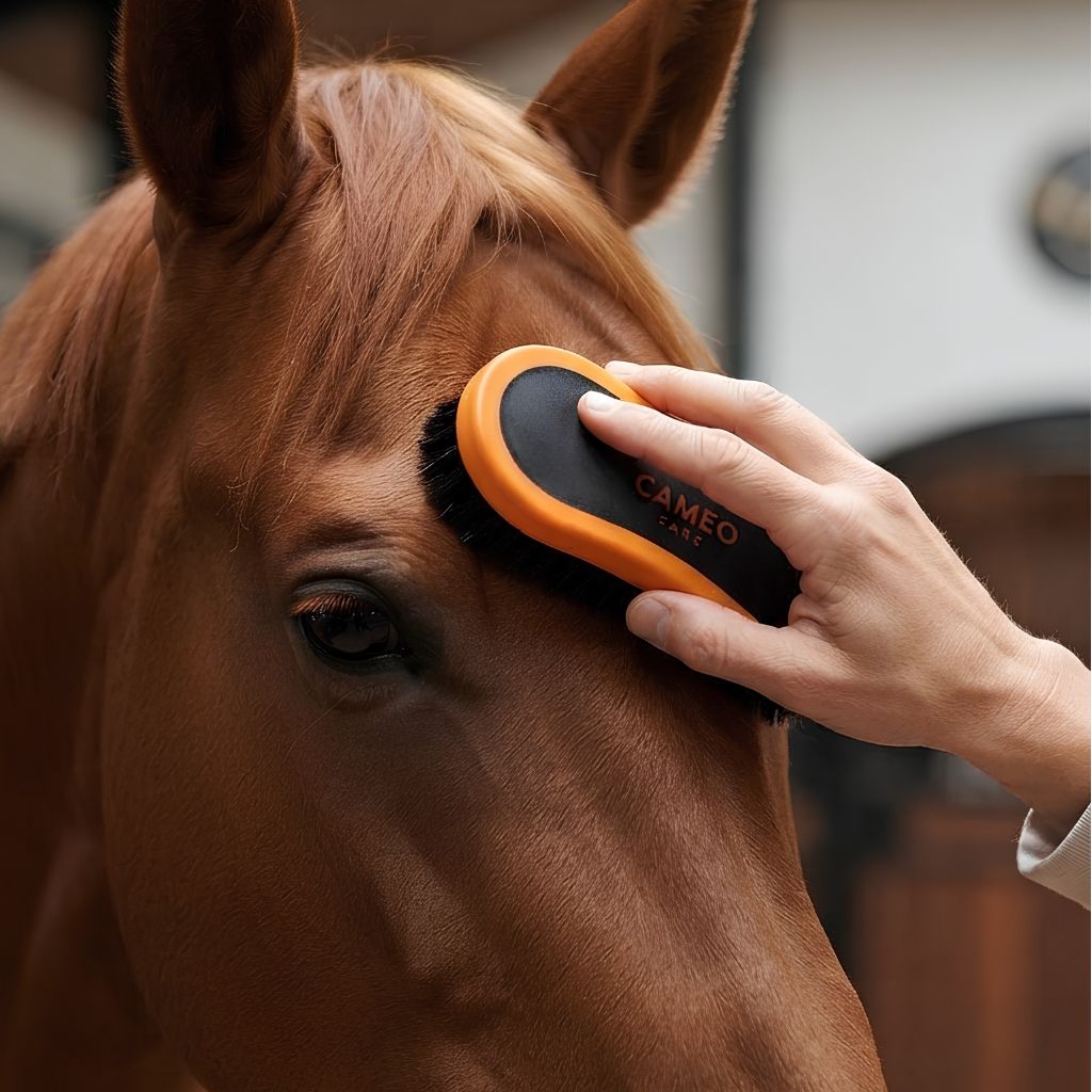 A premium product photo showing a hand gently brushing the forehead of a chestnut horse with the black and orange CAMEO grooming brush.