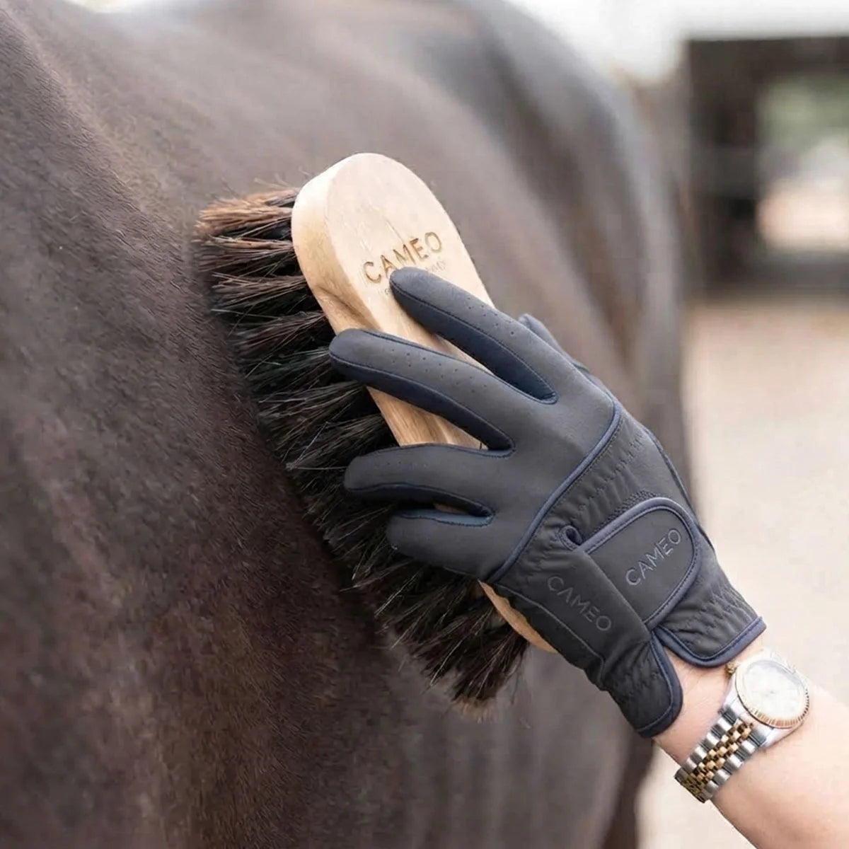 A person wearing a dark gray protective horse grooming glove brushes a dark brown horse's coat with a wooden-handled brush. The brand name CANEO is visible on both the glove and the brush.