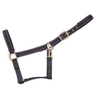 CAMEO FieldSafe Headcollar in Navy/Reflective showcasing dual woven reflective stripes, anti-rub neoprene padding, and 2-in-1 breakaway safety tabs engineered for low-light night visibility, paddock protection, and daily stable handling.