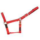 CAMEO FieldSafe Headcollar in Red /Reflective showcasing dual woven reflective stripes, anti-rub neoprene padding, and 2-in-1 breakaway safety tabs engineered for low-light night visibility, paddock protection, and daily stable handling.