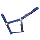 CAMEO FieldSafe Headcollar in Royal/Reflective showcasing dual woven reflective stripes, anti-rub neoprene padding, and 2-in-1 breakaway safety tabs engineered for low-light night visibility, paddock protection, and daily stable handling.