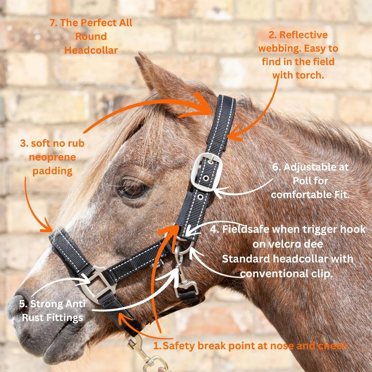 CAMEO FieldSafe Headcollar in Black/Reflective infographic diagram on a pony, illustrating the dual breakaway touch-tape release points, high-visibility reflective webbing, anti-rub neoprene padding, and anti-rust fittings for safe paddock turnout.