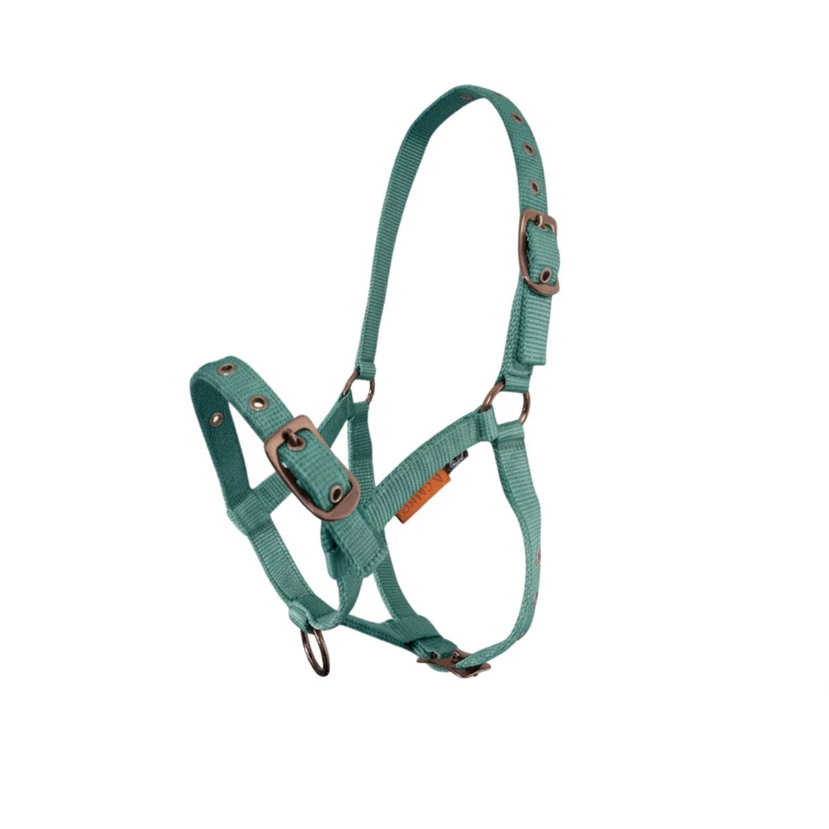 CAMEO Foal Headcollar in Evergreen shown on a white background, showcasing the 3-way multi-adjustable buckle points, reinforced metal eyelets, soft-touch poly-webbing, and Cacao bronze-tone hardware engineered for custom youngstock growth, non-chafing comfort, and gentle early halter training.