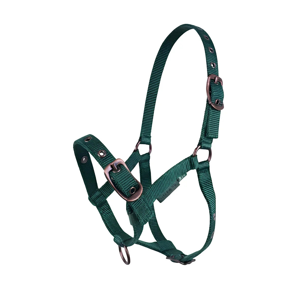 CAMEO Foal Headcollar in Evergreen shown on a white background, showcasing the 3-way multi-adjustable buckle points, reinforced metal eyelets, soft-touch poly-webbing, and Cacao bronze-tone fittings engineered for custom youngstock growth, non-chafing comfort, and gentle early halter training.