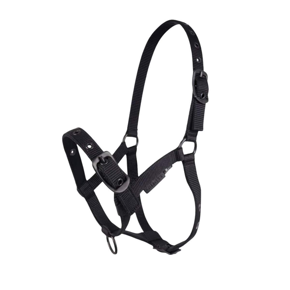 CAMEO Foal Headcollar in Black shown on a white background, showcasing the 3-way multi-adjustable buckle points, reinforced metal eyelets, soft-touch poly-webbing, and matte black hardware engineered for custom youngstock growth, non-chafing comfort, and gentle early halter training and turnout.