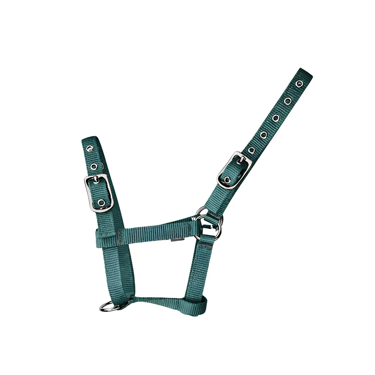CAMEO Foal Headcollar in Evergreen shown flat-lay, showcasing the 3-way multi-adjustable buckle points, extended multi-hole crown strap, reinforced metal eyelets, and anti-rust hardware engineered for custom youngstock growth, non-chafing comfort, and gentle early halter training and turnout.