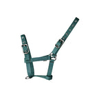 CAMEO Foal Headcollar in Evergreen shown flat-lay, showcasing the 3-way multi-adjustable buckle points, extended multi-hole crown strap, reinforced metal eyelets, and anti-rust hardware engineered for custom youngstock growth, non-chafing comfort, and gentle early halter training and turnout.