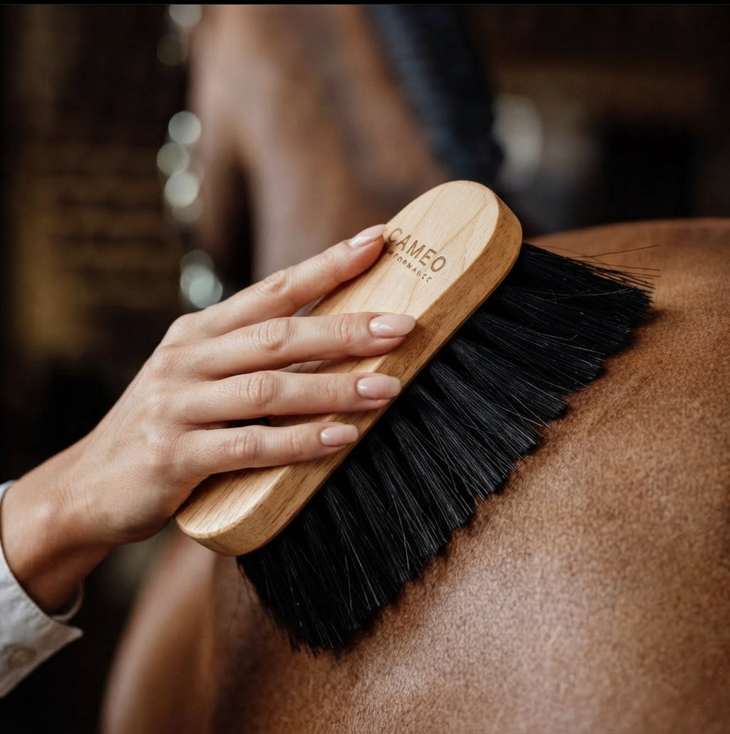 An in-use product shot of the CAMEO PERFORMANCE flick brush featuring dense, dark bristles and a polished wooden back stamped with the brand logo, being used to groom the coat of a horse in a stable setting.