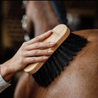 A close-up of a hand holding a CAMEO Horse Brand wooden grooming brush with black bristles, brushing a horse's neck.