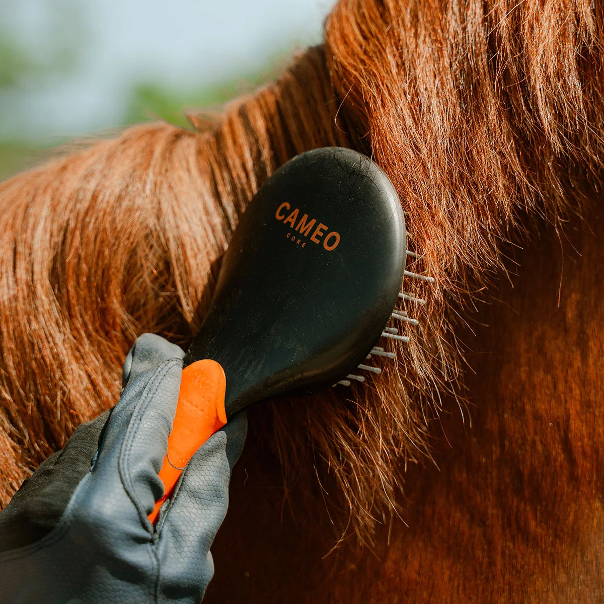 CAMEO Mane & Tail Brush in Orange featuring wide-set bristles gliding through thick horse hair to remove knots cleanly.