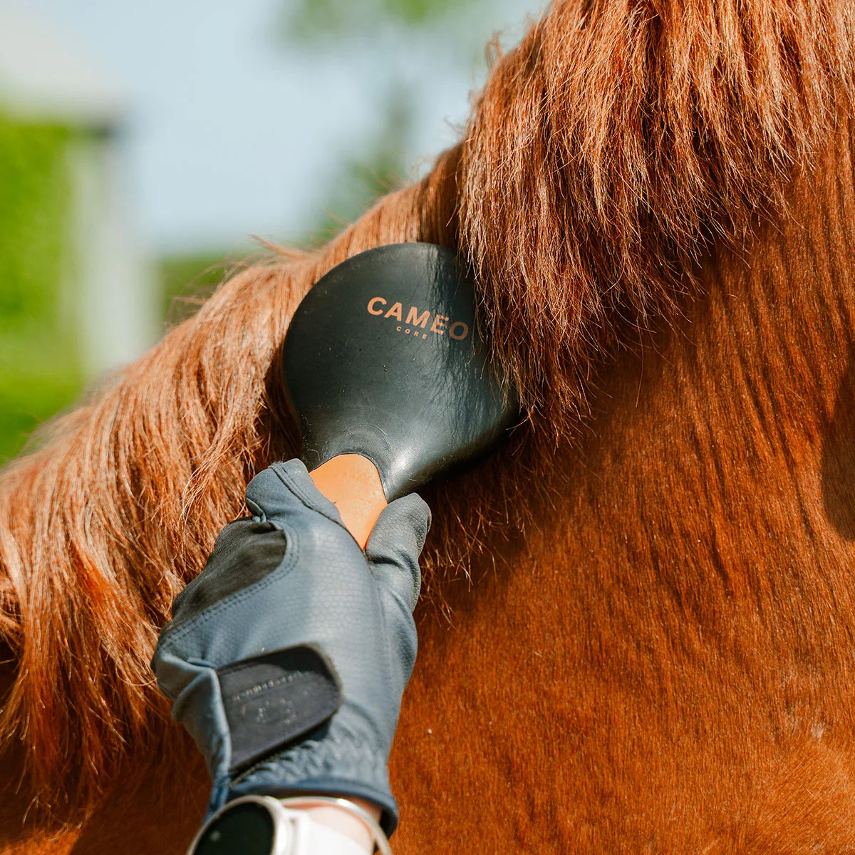 CAMEO Mane & Tail Brush in Orange in use detangling a chestnut horse mane smoothly without pulling or snapping hairs.