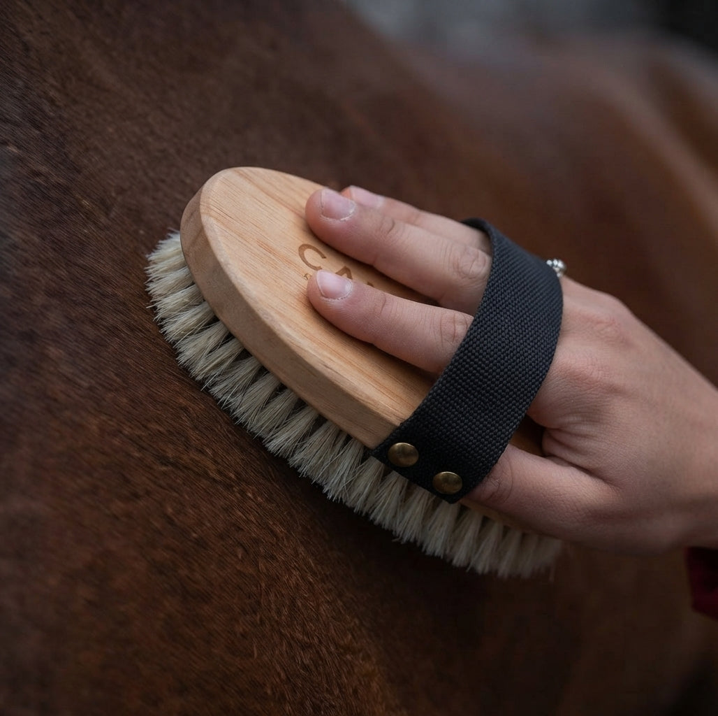 An in-use product shot of the CAMEO wooden body brush from the product range, featuring natural soft bristles, a black woven hand strap secured with brass studs, and visible branding stamped on the polished wooden back, as it is being used to groom the coat of a brown horse.