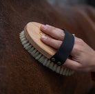 An in-use product shot of the CAMEO wooden body brush from the product range, featuring natural soft bristles, a black woven hand strap secured with brass studs, and visible branding stamped on the polished wooden back, as it is being used to groom the coat of a brown horse.