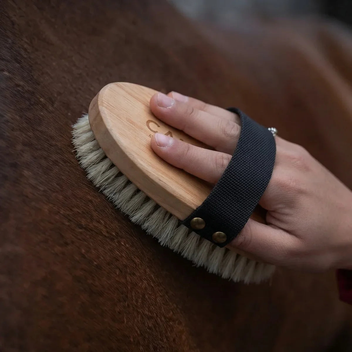 A close-up of a hand holding a horse grooming brush with a light wood handle, white bristles, and a black wrist strap against dark brown horse fur.