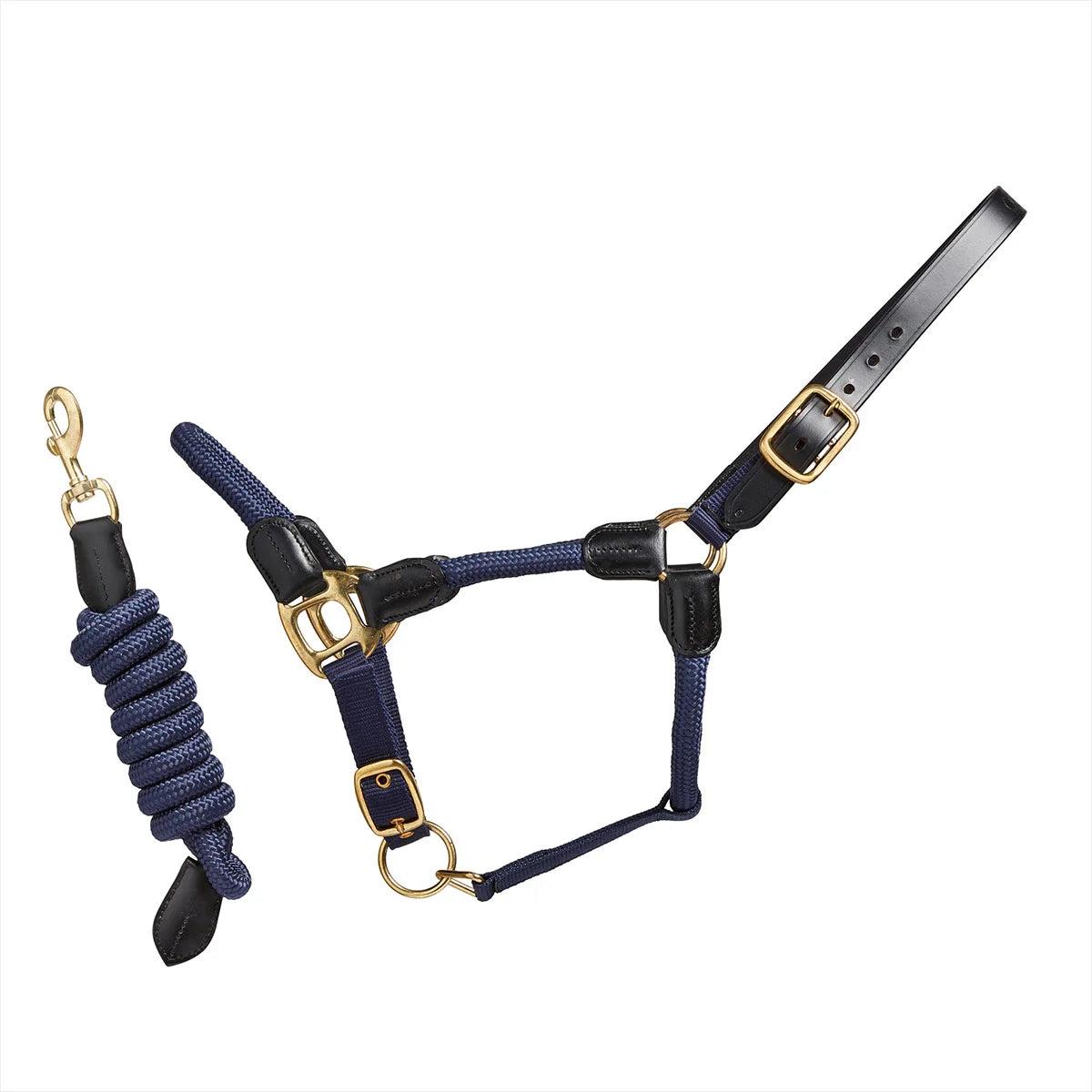 CAMEO Rope Leather Headcollar and Leadrope in Navy showcasing braided yachting rope, black leather poll strap, and solid brass fittings, complete with a matching coiled leadrope and trigger clip for sensitive groundwork control and stableyard travel.