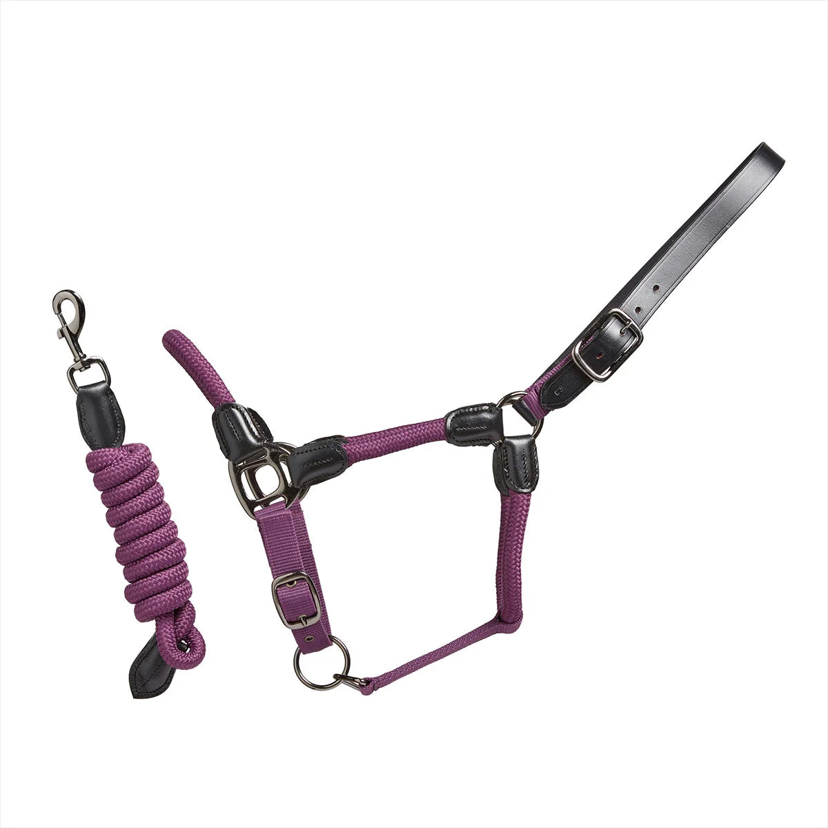 CAMEO Rope Leather Headcollar and Leadrope in Deep Purple showcasing braided yachting rope, black leather poll strap, and gunmetal hardware, complete with a matching coiled leadrope and trigger clip for sensitive groundwork control and stableyard travel.