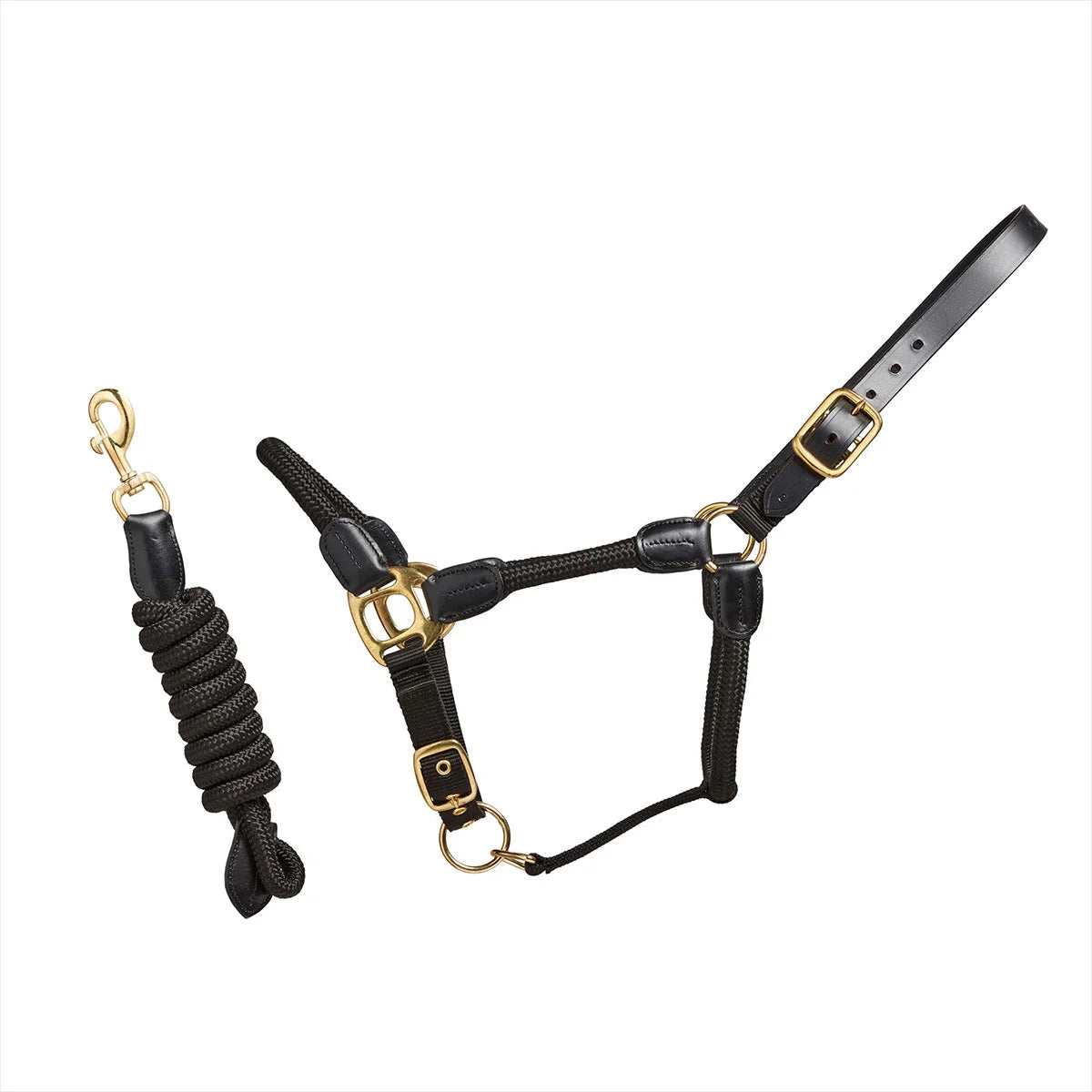 CAMEO Rope Leather Headcollar and Leadrope in Black showcasing braided yachting rope, black leather poll strap, and solid brass hardware, complete with a matching coiled leadrope and trigger clip for sensitive groundwork control and stableyard travel.