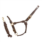 CAMEO Rope Leather Headcollar and Leadrope in Chocolate Brown showcasing braided yachting rope, rich brown leather poll strap, and solid brass hardware, complete with a matching coiled leadrope and trigger clip for sensitive groundwork control and stable travel.