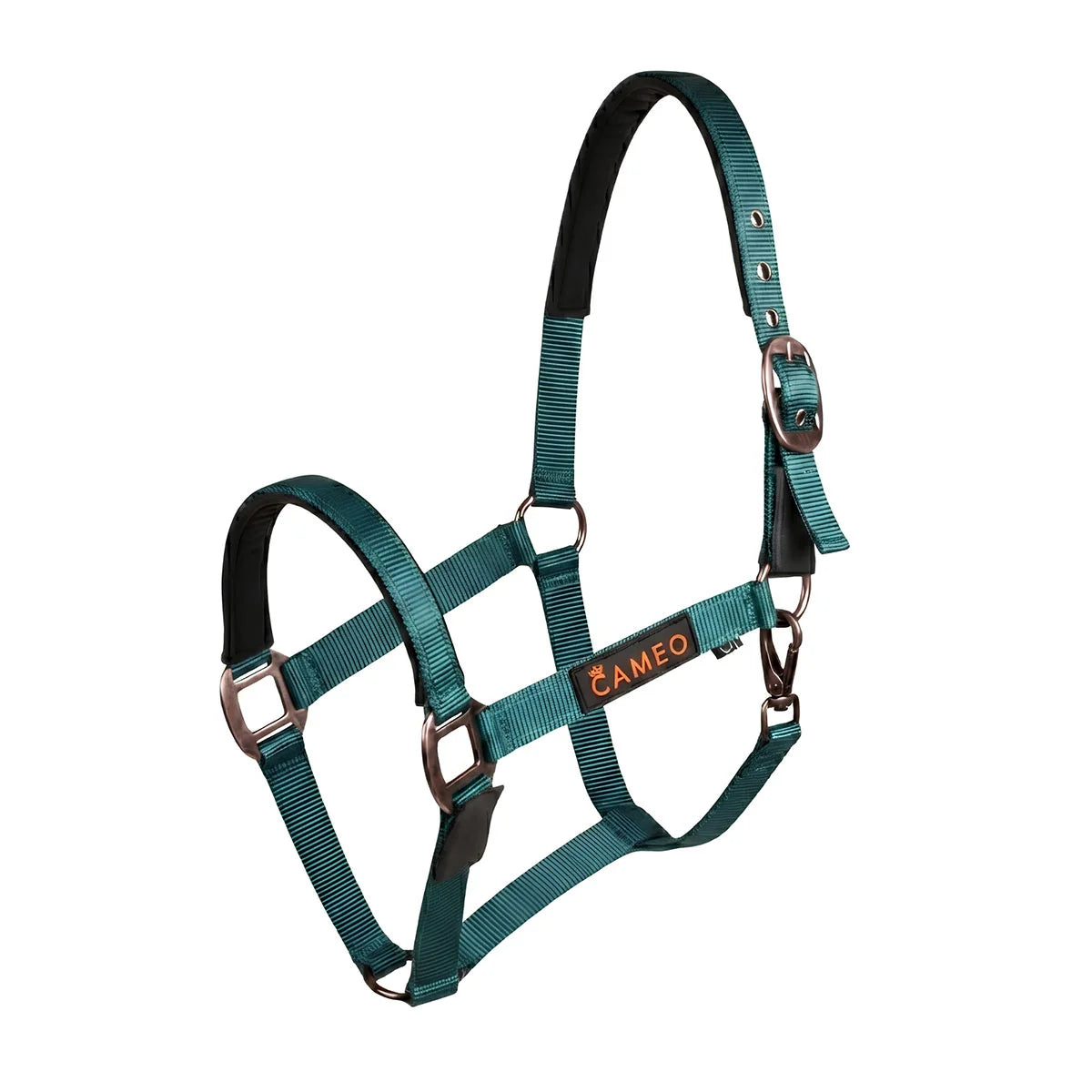 CAMEO Sentinel FieldSafe Headcollar in EverGreen showcasing integrated reflective safety yarn, anti-rub neoprene padding, and Cacao bronze-tone hardware engineered for breakaway paddock safety, low-light visibility, and comfortable turnout.