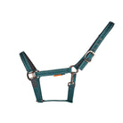 CAMEO Sentinel FieldSafe Headcollar in EverGreen shown flat-lay, showcasing the dual reflective safety stripes, Cacao bronze-tone buckle, and anti-rub neoprene padding engineered for 2-in-1 breakaway turnout safety and low-light night catching.