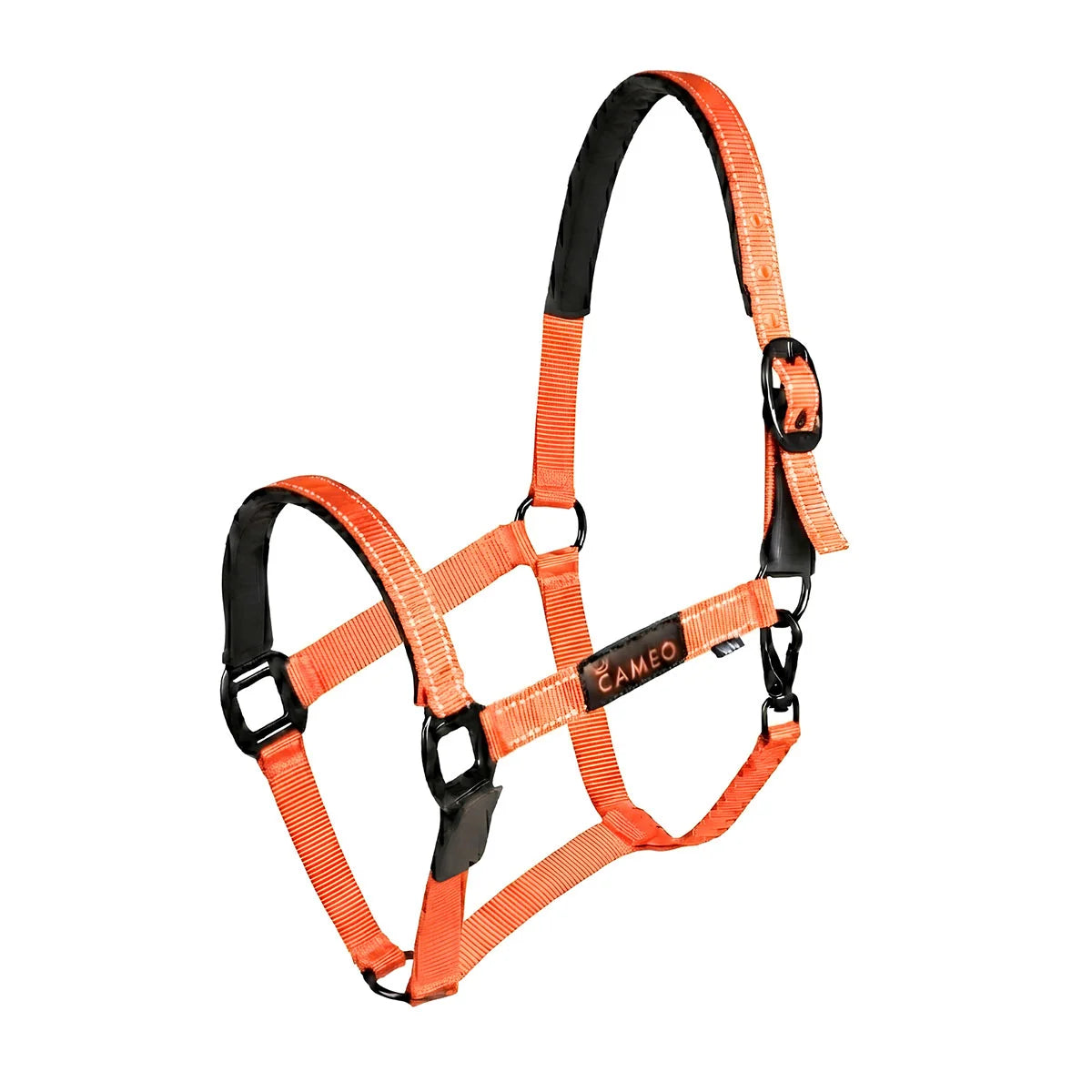 CAMEO Sentinel FieldSafe Headcollar in Orange showcasing integrated reflective safety yarn, anti-rub neoprene padding, and matte black hardware engineered for breakaway paddock safety, low-light visibility, and comfortable turnout.