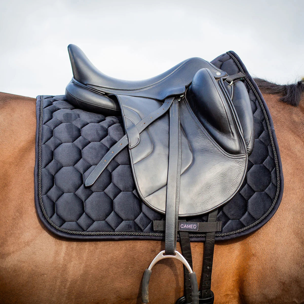 CAMEO Suede Dressage Saddlecloth in Black fitted beneath a black leather dressage saddle on a bay horse, showcasing the straight-cut square profile, hexagonal honeycomb quilting, rope piping, and branded girth protection panel engineered for shock absorption, spinal relief, and arena performance.