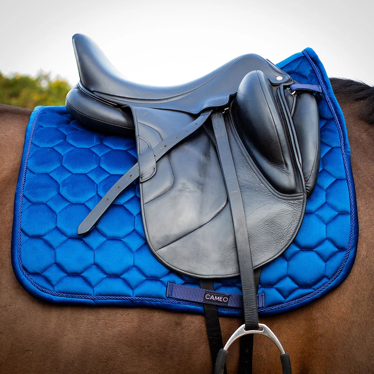 CAMEO Suede Dressage Saddlecloth in Navy fitted beneath a black leather dressage saddle on a bay horse, showcasing the straight-cut square profile, hexagonal honeycomb quilting, rope piping, and branded girth protection panel engineered for shock absorption, spinal relief, and arena performance.