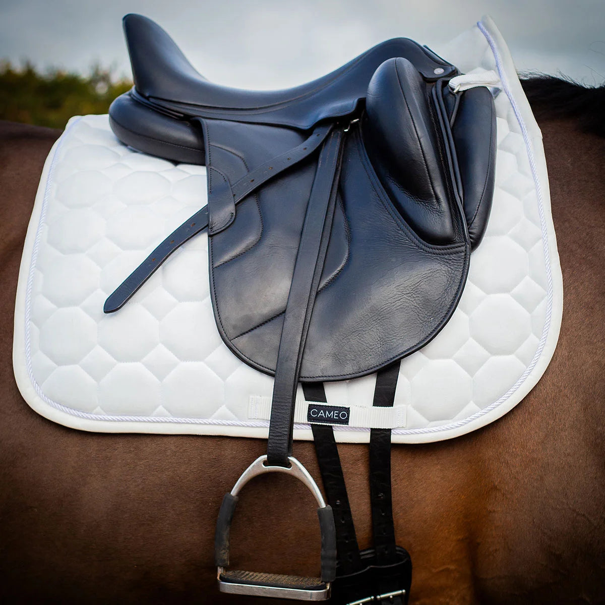 CAMEO Suede Dressage Saddlecloth in White fitted beneath a black leather dressage saddle on a bay horse, showcasing the straight-cut square profile, hexagonal honeycomb quilting, rope piping, and branded girth protection panel engineered for shock absorption, spinal relief, and competition turnout.