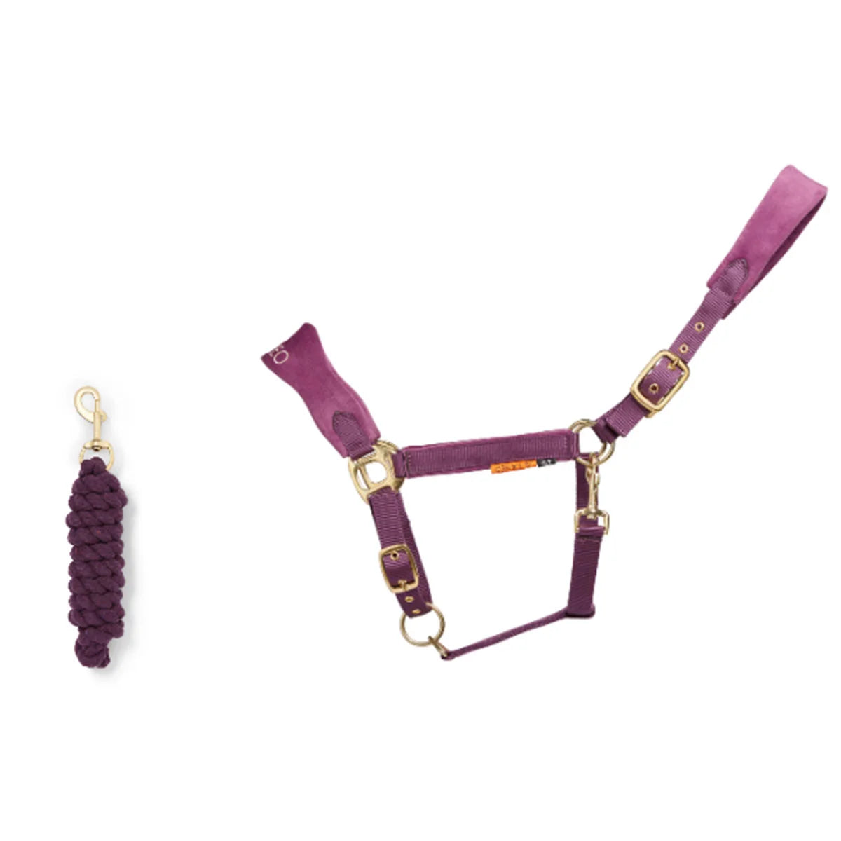CAMEO Suede Elite Headcollar & Rope set in Deep Purple shown on a white background, showcasing the broad padded micro-suede noseband, plush crown lining, solid brass hardware, and matching twisted leadrope engineered for nasal pressure dispersal, anti-rub poll comfort, and luxury equestrian travel.