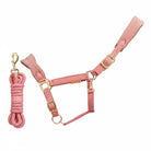 CAMEO Suede Elite Headcollar & Rope set in Dusky Pink shown on a white background, showcasing the broad padded micro-suede noseband, plush crown lining, solid brass hardware, and matching twisted leadrope engineered for nasal pressure dispersal, anti-rub poll comfort, and luxury equestrian travel.