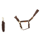 CAMEO Suede Elite Headcollar & Rope set in Mocha shown on a white background, showcasing the broad padded micro-suede noseband, plush crown lining, solid brass hardware, and matching twisted leadrope engineered for nasal pressure dispersal, anti-rub poll comfort, and luxury equestrian travel.