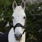 CAMEO Suede Elite Headcollar & Rope set in Black shown in a front portrait on a grey horse, highlighting the broad micro-suede noseband with embroidered white logo, solid brass fittings, and anti-rub padding engineered for nasal pressure relief, gentle comfort, and luxury equestrian presentation.