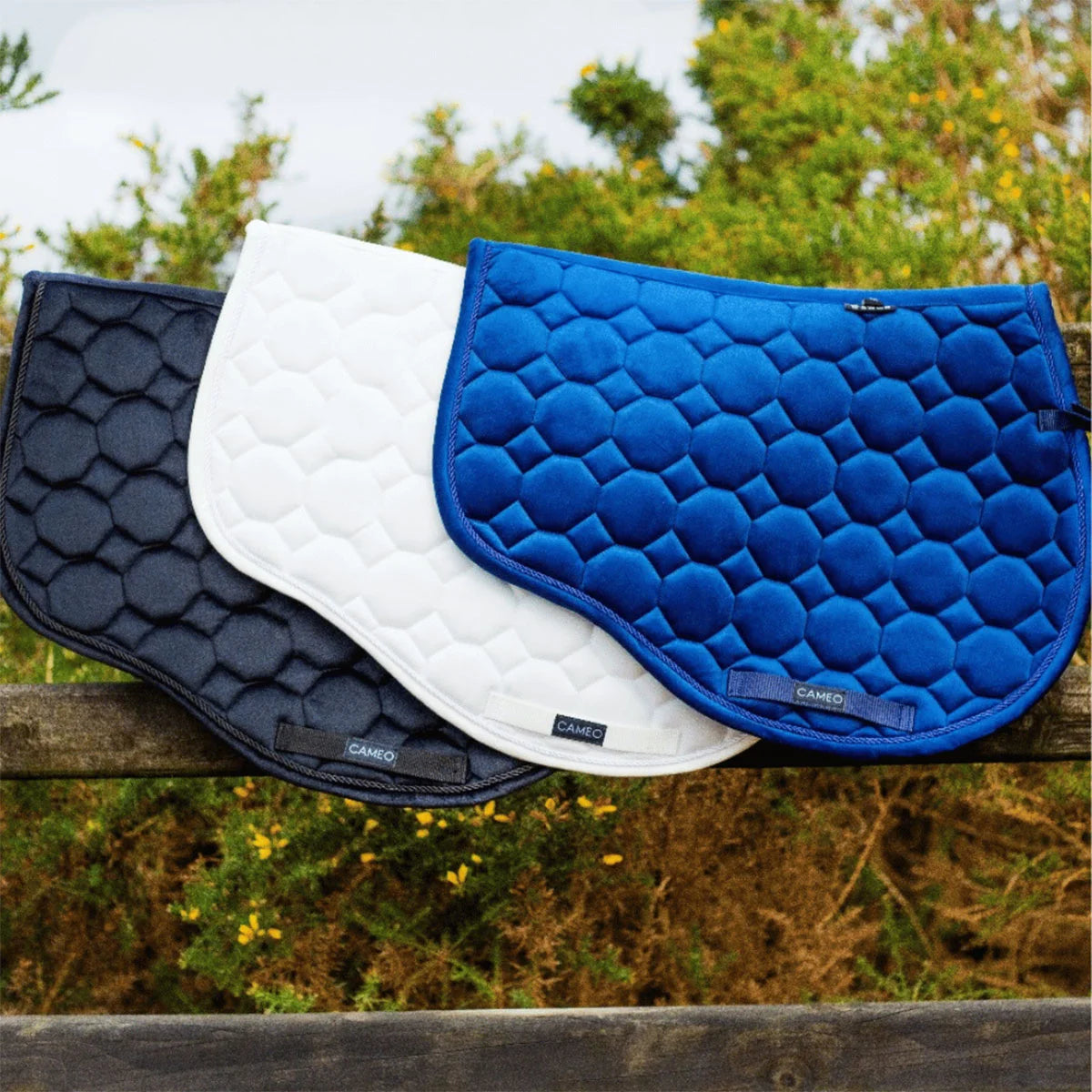 CAMEO Suede GP & Jump Saddlecloth collection lineup in Navy, White, and Black displayed on a wooden fence, showcasing the forward-cut silhouette, geometric octagonal quilting, and rope piping engineered for shock absorption and jump saddle comfort.