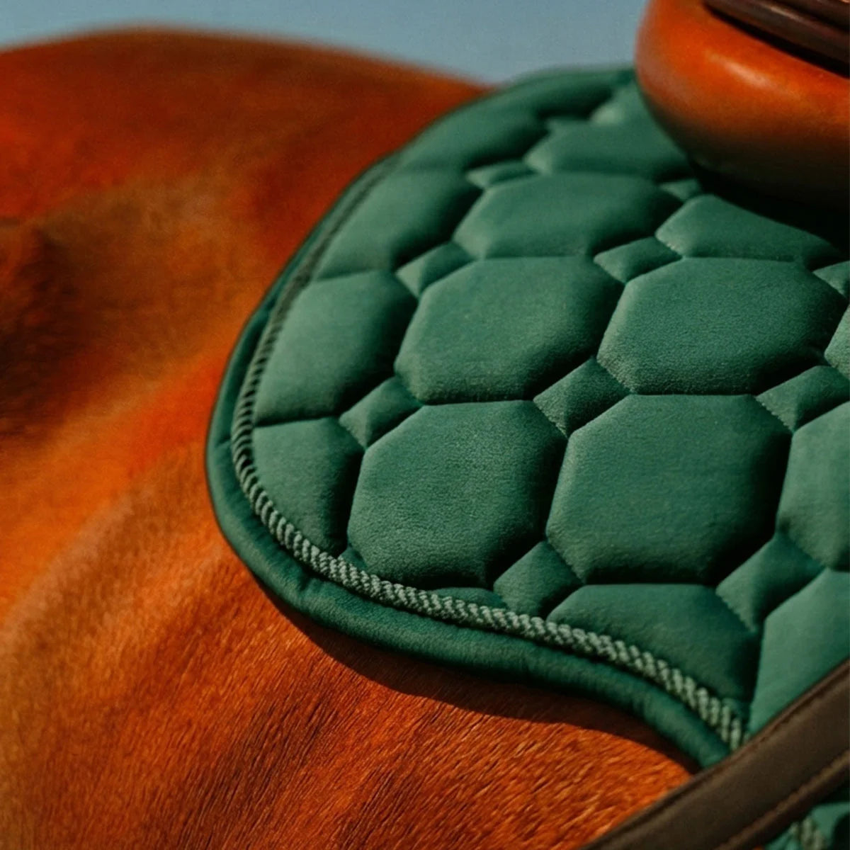 CAMEO Suede GP & Jump Saddlecloth in EverGreen in a macro close-up on a chestnut horse, showcasing the geometric quilted micro-suede, twisted rope binding, and shock-absorbing foam core engineered for spinal relief and jumping saddle comfort.
