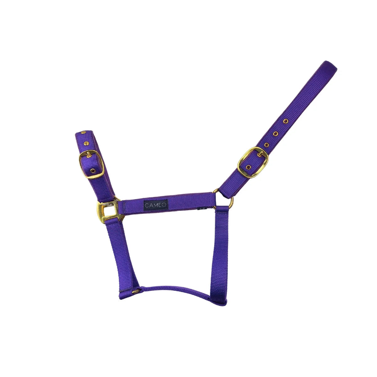 CAMEO Suede Padded Headcollar in Deep Purple featuring ultra-soft anti-rub micro-suede cushioning on the noseband and poll. This technical equestrian headcollar includes classic brass anti-rust hardware with dual-point adjustability for a secure fit on sensitive horses during turnout or travel.